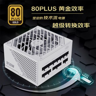 ATX 800-999W Gold Fully-Modular 主动模组